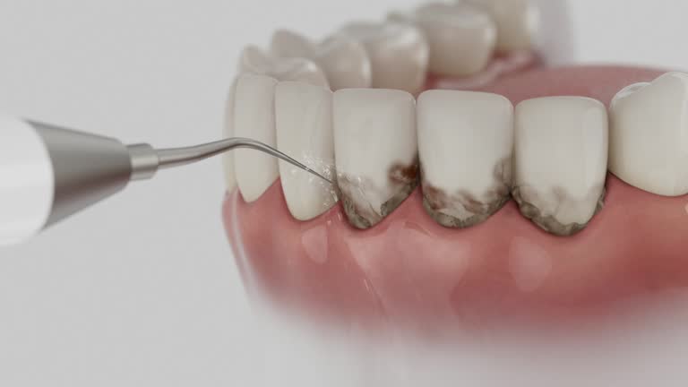 Reliable Dental contractor in Petersburg, VA by Dentist Open Now